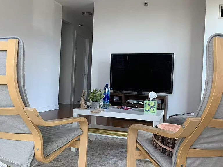 1160 S Michigan Ave #1103 — Photo 7