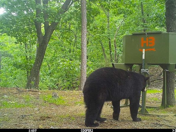 Sardis Lake Clayton Real Estate 9 Homes For Sale Zillow