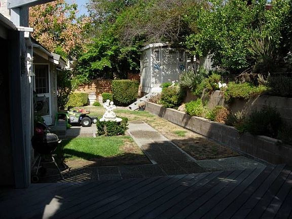 back yard