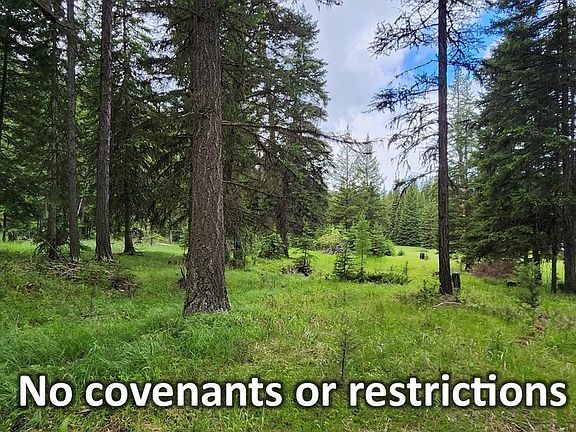 2nd image of 1720 Coon Hollow Rd