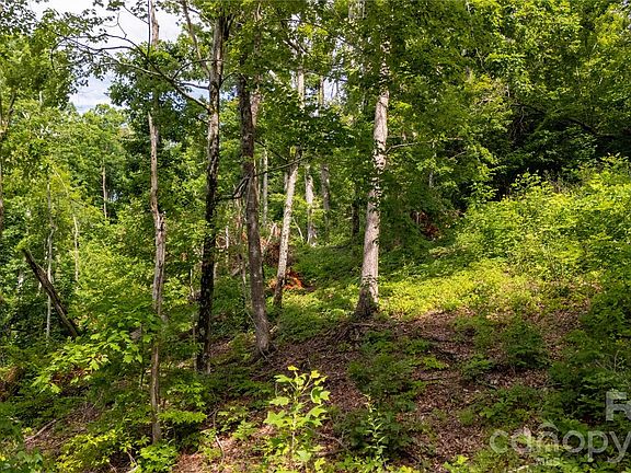 3rd image of 146 Shire Ln