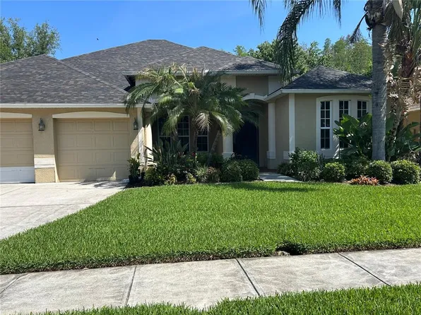 26612 Shoregrass Dr, Wesley Chapel, FL 33544