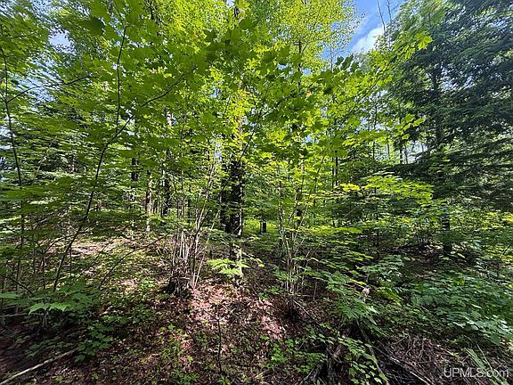 5th image of Bear Town Rd