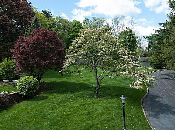 Driveway from billiards room