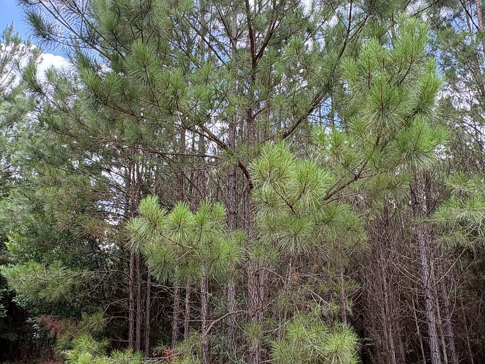 1st image of 0 Highway 3