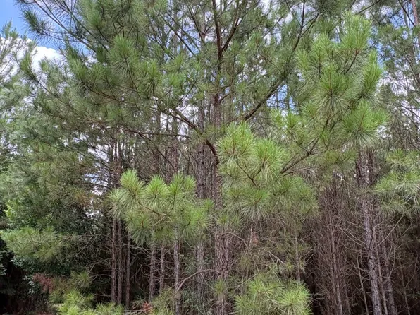 0 Highway 3, Barnwell, SC 29812