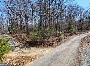 2 Robert Miller Ln, Mineral Bluff, GA 30559