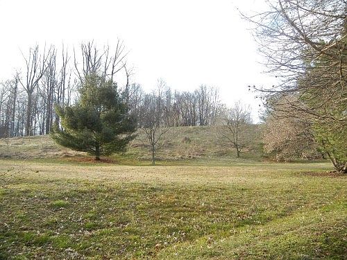 2nd image of 9506 Hallhurst Rd