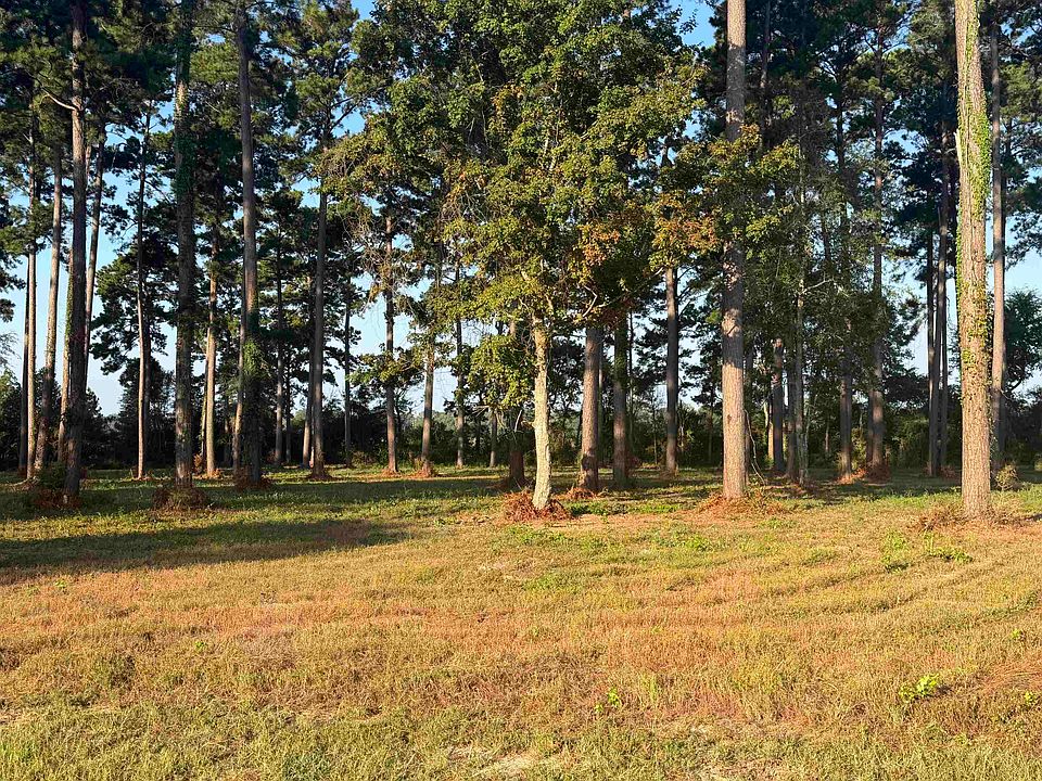 1st image of 863 County Road 173