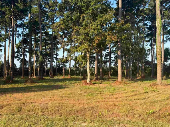 863 County Road 173, Jasper, TX 75951