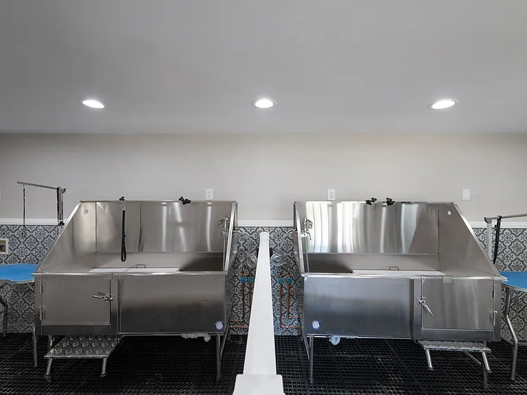 Pet Washing Stations and Grooming Tables