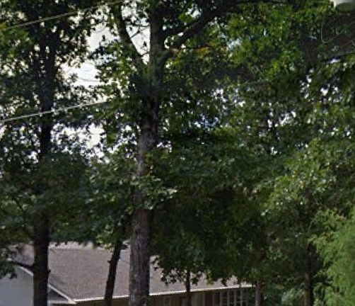 3rd image of 7 Tewkesbury Circle Dr