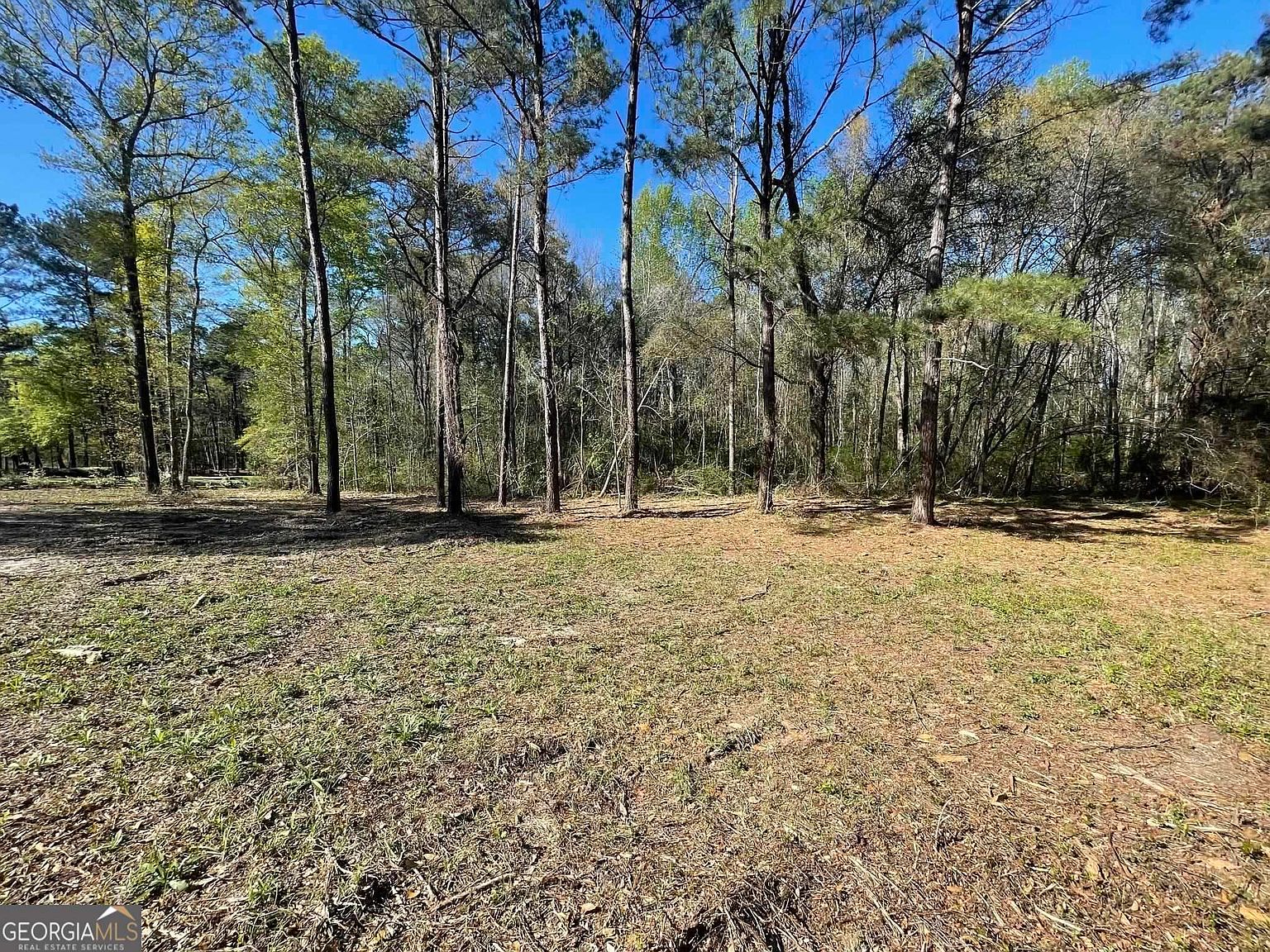 0 Alexander Farms Rd W, Statesboro, GA 30458 MLS 20137518 Zillow