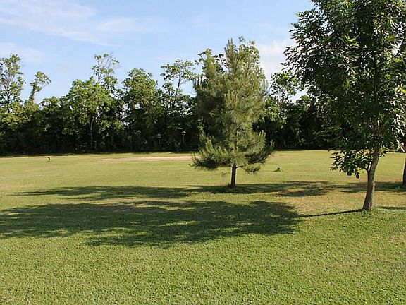 Back yard view from rear porch