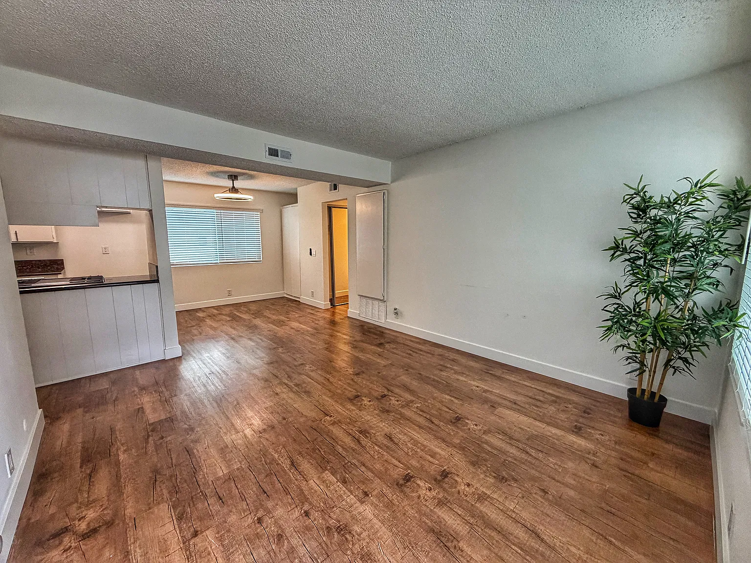 3629 W Ball Rd — Photo 3