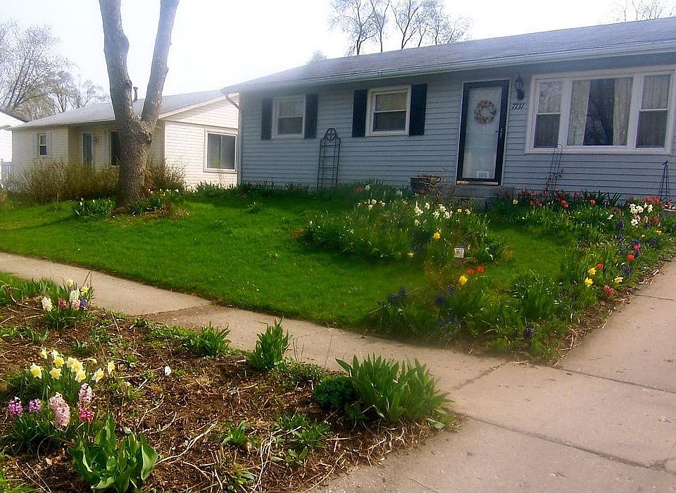 spring time before cutting garden is in full bloom