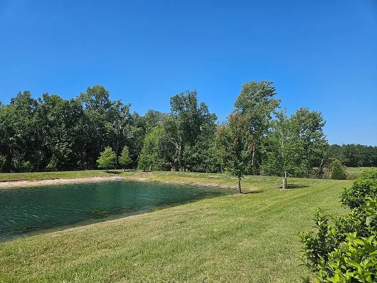 Backyard View
