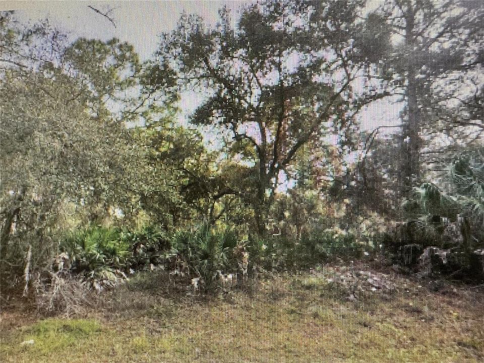 2nd image of Trolley Rd #6