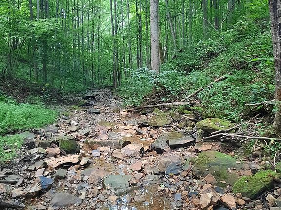 3rd image of 0 Auerville Rd