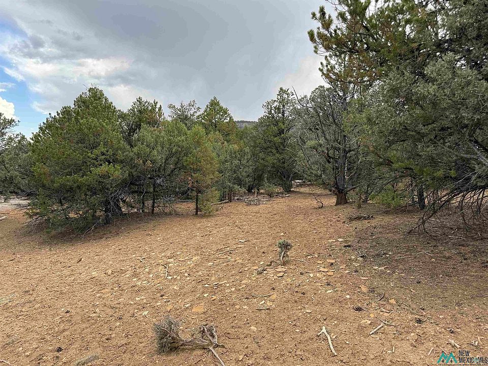 1st image of Pinon Rdg