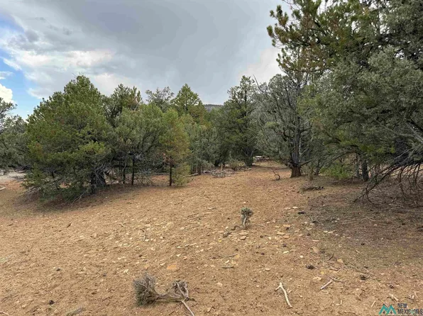 Pinon Rdg, Los Ojos, NM 87551