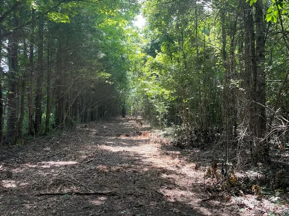 Cleo Clark Rd, Canton, MS 39046