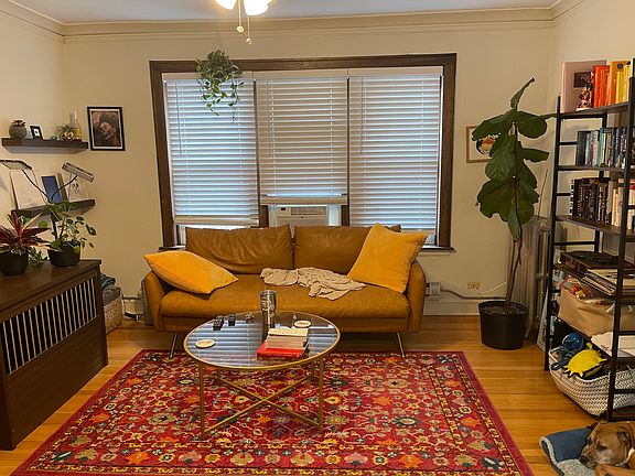 5th image of 4216-4224 N Clark St #33