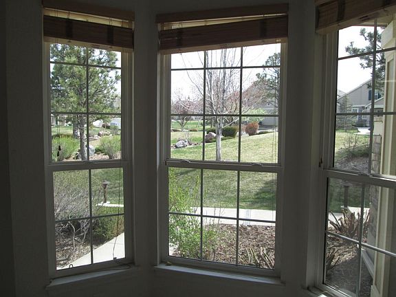 Front Window view