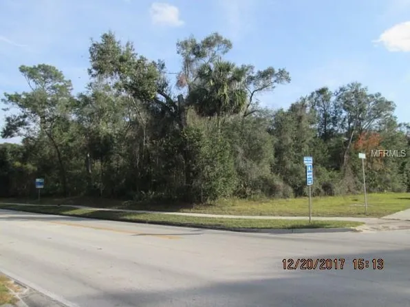 810 W Blue Springs Ave, Orange City, FL 32763