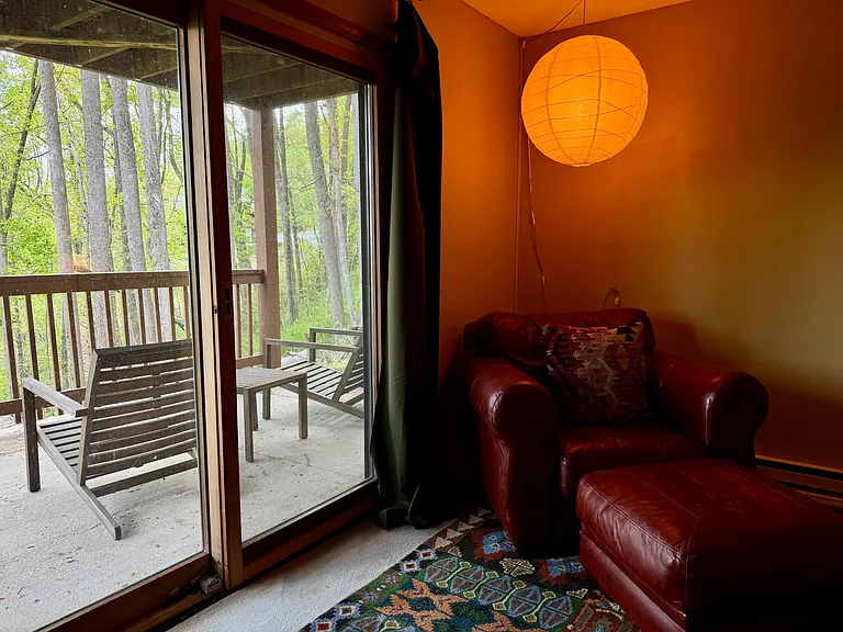 727 Town Mountain Rd — Photo 29