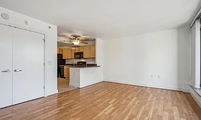Studio, 445 sqft, $1,455 — Photo 4
