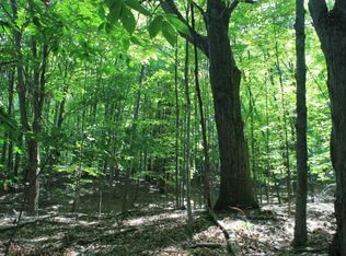 E Ritchie Rd, Lincoln, MI 48742