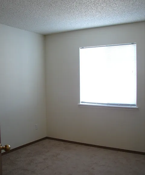 4954 Ardley Dr — Photo 9