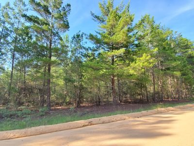 Coyote Rd, Crestview, FL, 32539