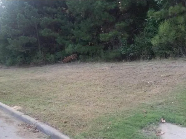 1064 Grande View Pass #1531, Maylene, AL 35114