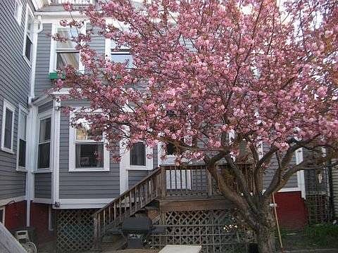 5th image of 94B Sciarappa St