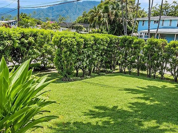 Private yard with privacy hedge and mountain views