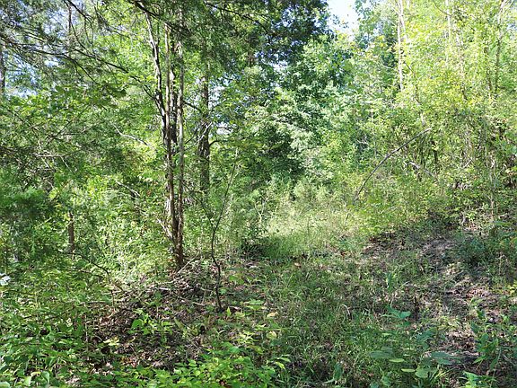 3rd image of 2025 State Highway 184 Rd