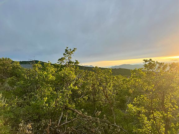 2nd image of 1556 S Tree Top Ln