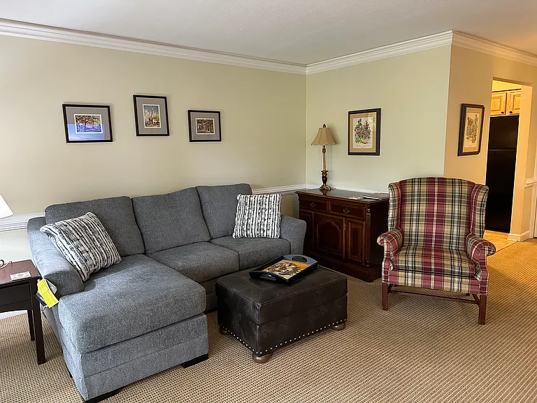 Living room with queen pull out sofa bed.