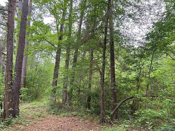 5th image of LOT 20 Walker Ln