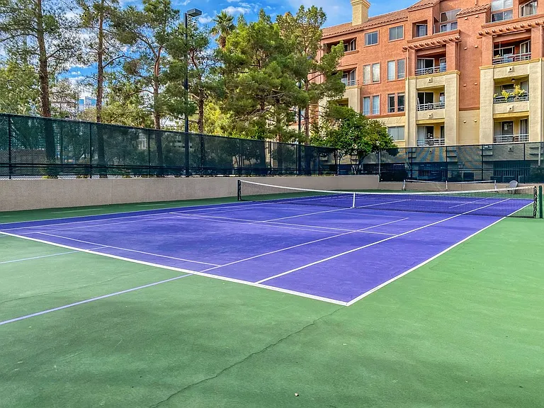 260 E Flamingo Rd #229 — Photo 13