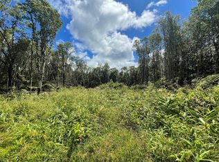 Road 4 LOT 162, Volcano, HI 96785