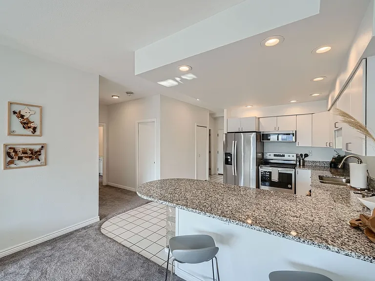 1551 Larimer St #3005 — Photo 11