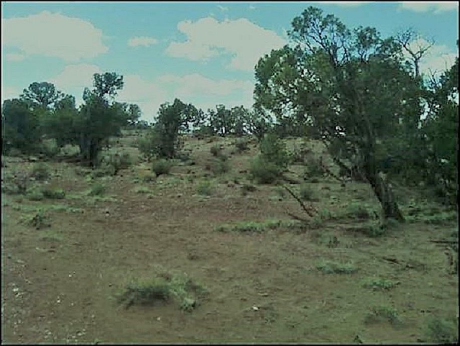 2nd image of Lomas Rd