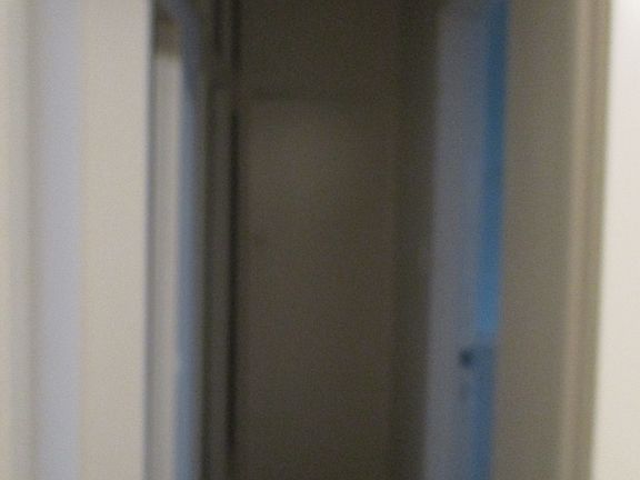 3rd image of 7451 La Jolla Blvd #7449A