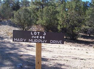 14999 Mary Murphy Dr LOT 3, Nathrop, CO 81236
