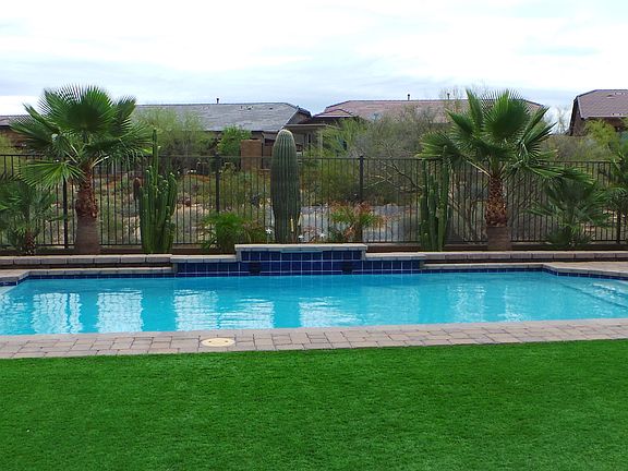 Low Maintenance Backyard