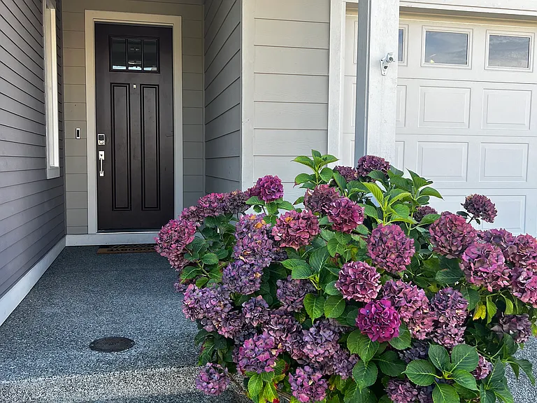 3852 Sentinel Dr — Photo 1
