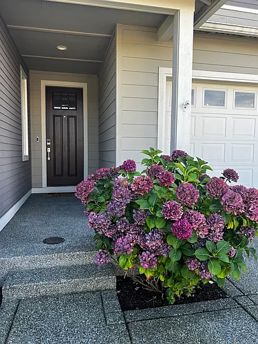 3852 Sentinel Dr Photo 1 3852 Sentinel Dr Photo 1